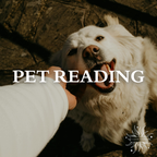Pet Reading ✨🧡