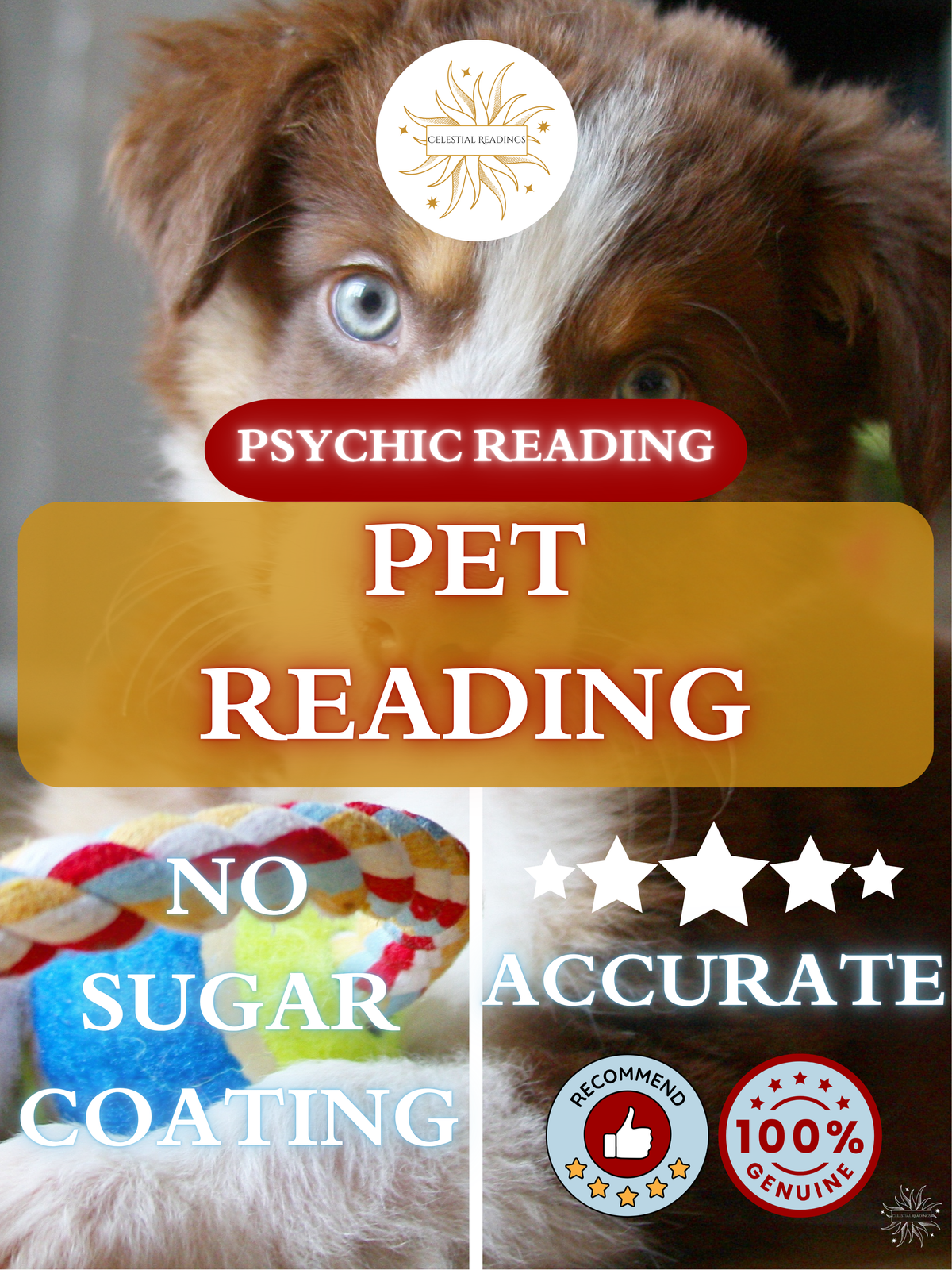 Pet Reading ✨🧡