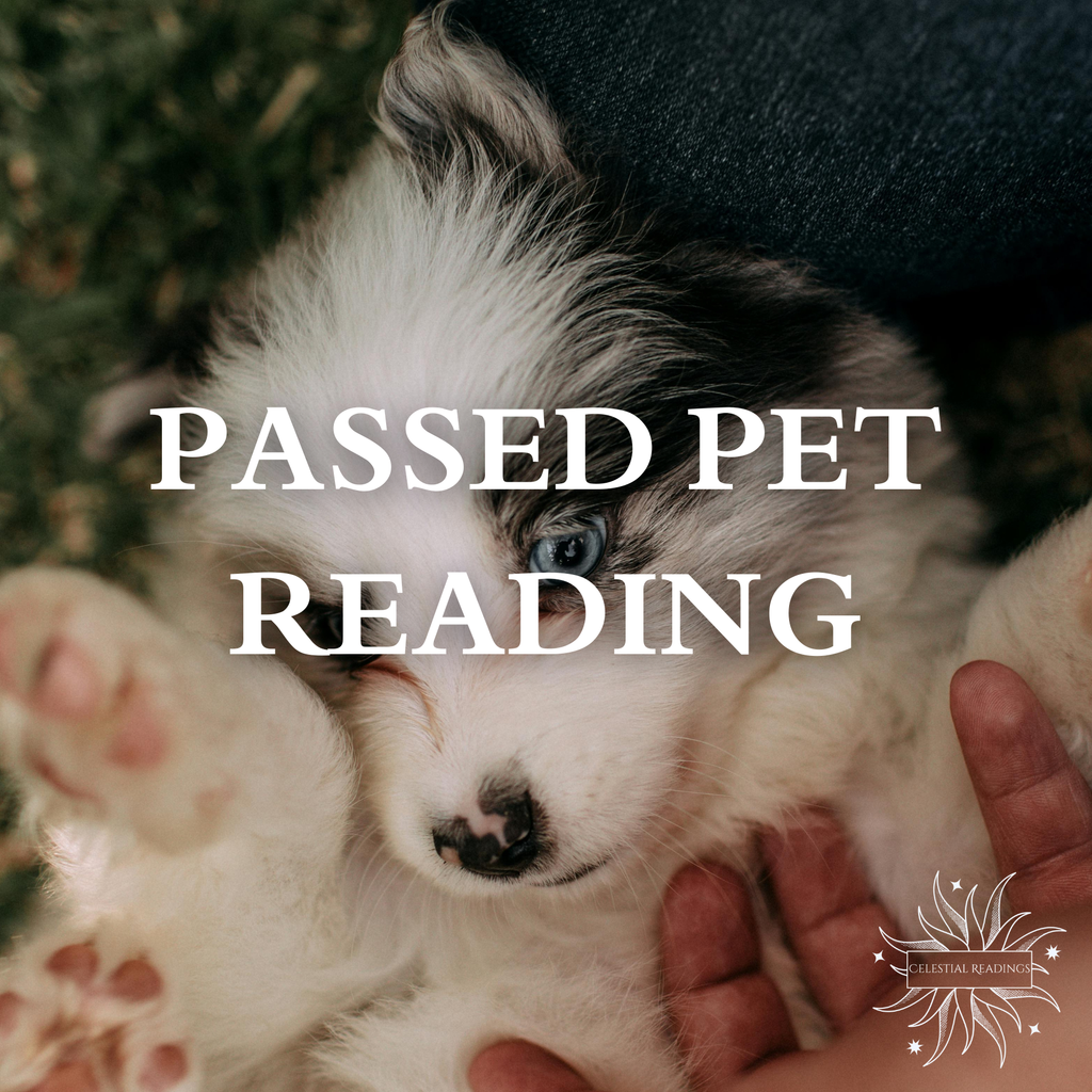 Passed Pet Reading 🤍 🐾