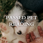 Passed Pet Reading 🤍 🐾